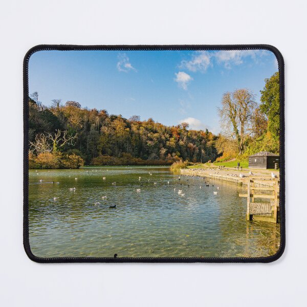 Item preview, Autumn Sun on Swanbourne Lake designed and sold by HazyApplePhoto.