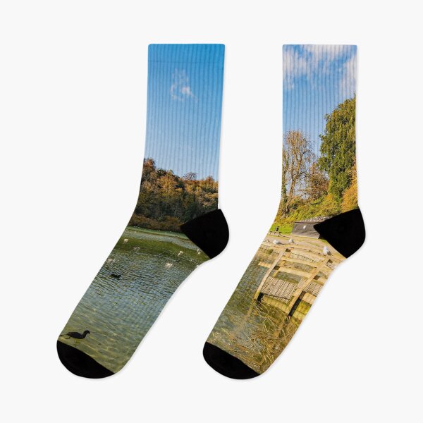 Item preview, Autumn Sun on Swanbourne Lake designed and sold by HazyApplePhoto.