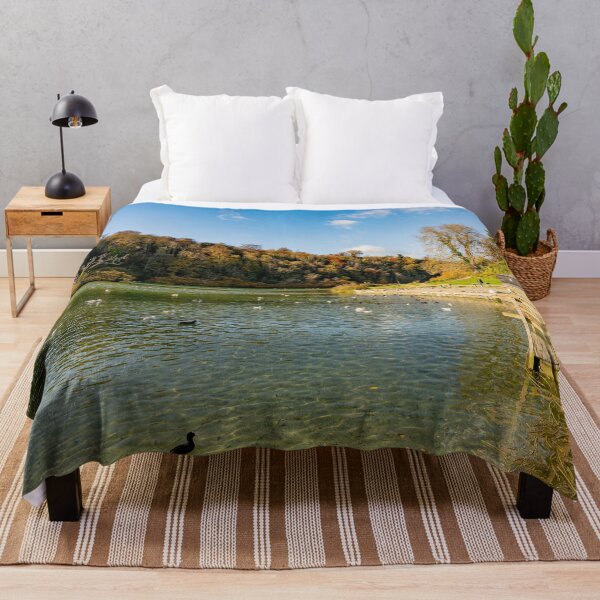 Item preview, Autumn Sun on Swanbourne Lake designed and sold by HazyApplePhoto.
