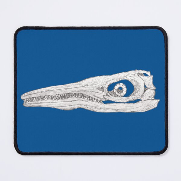 Item preview, Copy of Ichthyosaur skull designed and sold by DoodleSnake58.