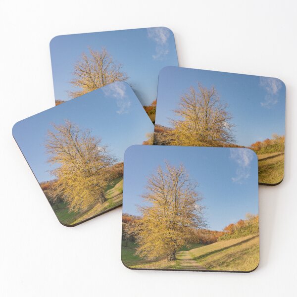 Item preview, Autumn in Arundel Park designed and sold by HazyApplePhoto.