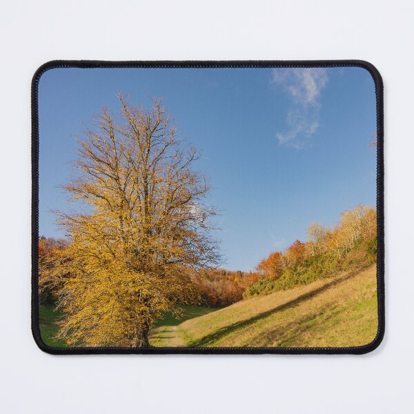 Item preview, Autumn in Arundel Park designed and sold by HazyApplePhoto.