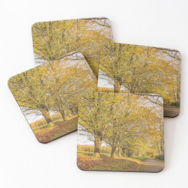 Item preview, Autumn Guard of Honour designed and sold by HazyApplePhoto.