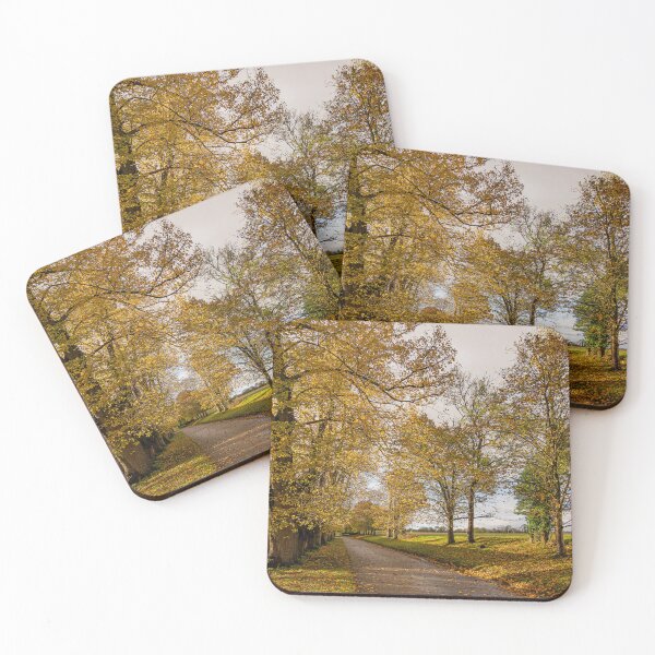 Item preview, After The Rain - Golden Light designed and sold by HazyApplePhoto.