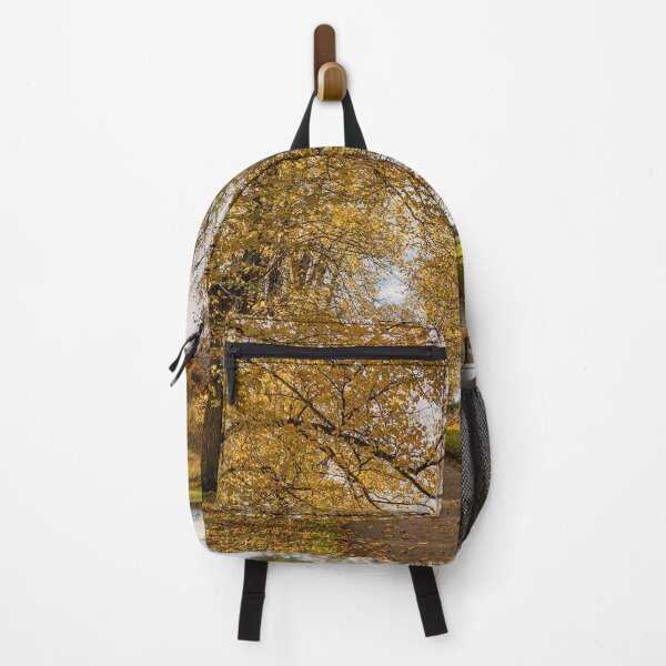Item preview, After The Rain - Golden Light designed and sold by HazyApplePhoto.
