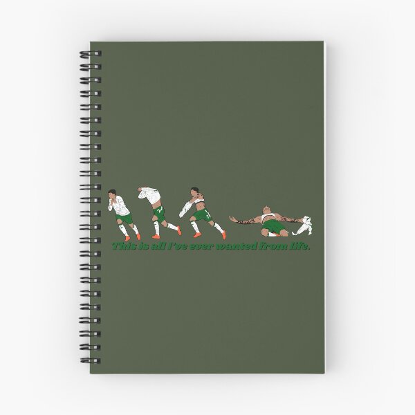 Item preview, Troy Parrott Ireland Hat Trick Goal Celebration Minimalist  designed and sold by Hevding.