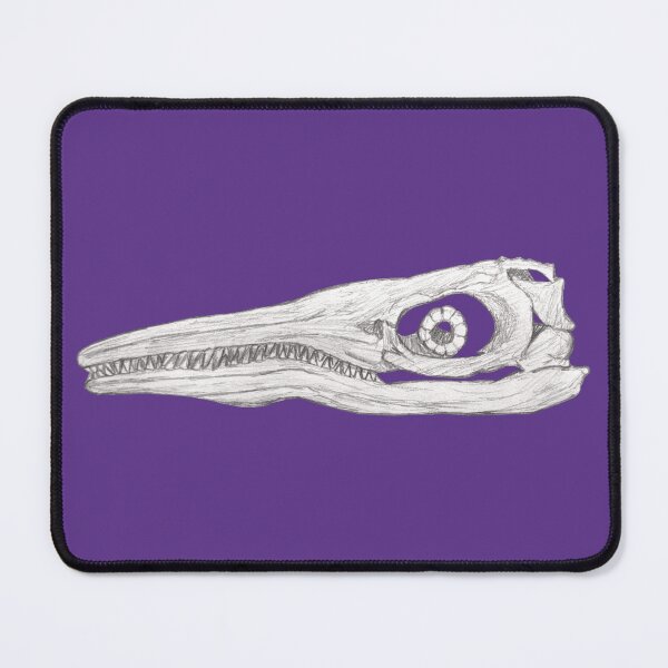 Item preview, Ichthyosaur skull designed and sold by DoodleSnake58.