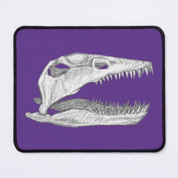 Item preview, Plesiosaur skull designed and sold by DoodleSnake58.
