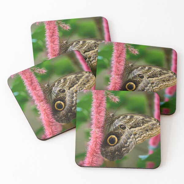 Item preview, Owl Butterfly by the pink designed and sold by Jouko Lehto Photography.