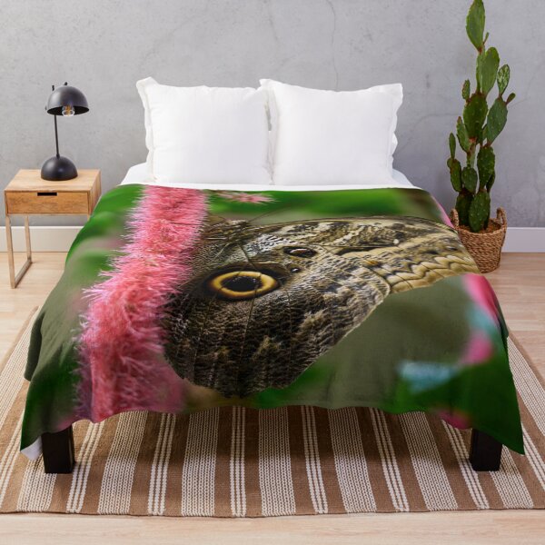 Item preview, Owl Butterfly by the pink designed and sold by Jouko Lehto Photography.