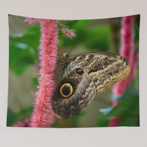 Item preview, Owl Butterfly by the pink designed and sold by Jouko Lehto Photography.