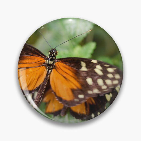 Item preview, Tiger Longwing designed and sold by Jouko Lehto Photography.