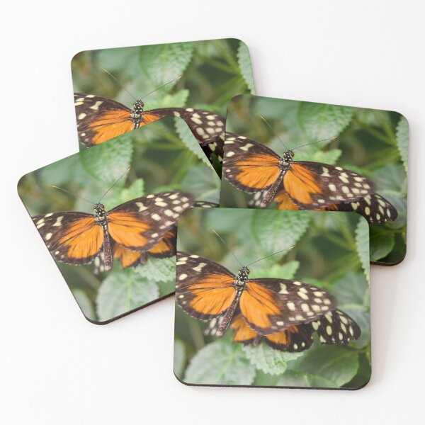 Item preview, Tiger Longwing designed and sold by Jouko Lehto Photography.