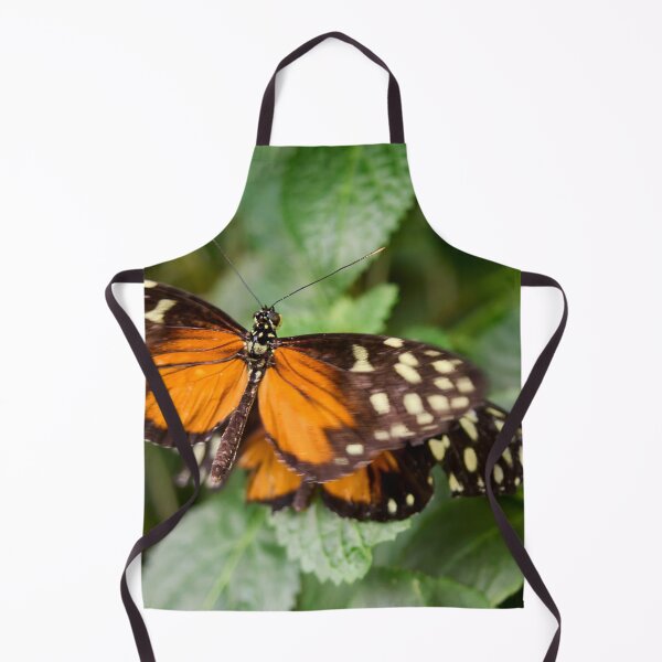 Item preview, Tiger Longwing designed and sold by Jouko Lehto Photography.