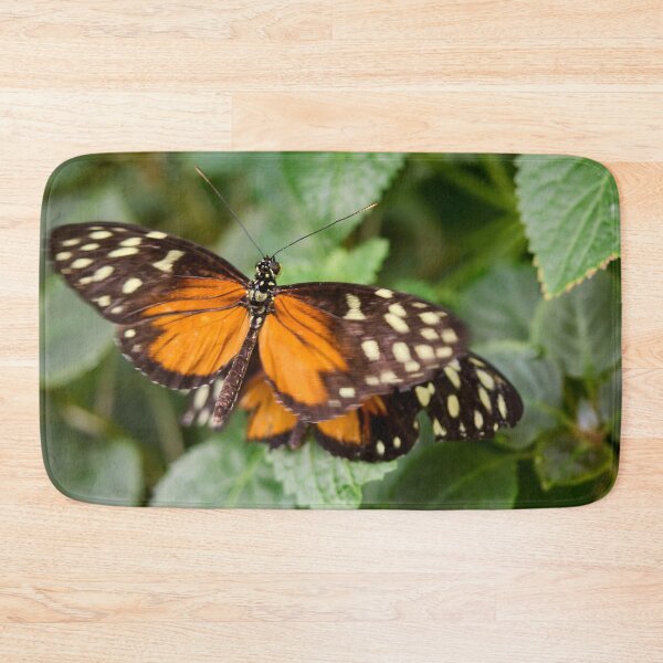 Item preview, Tiger Longwing designed and sold by Jouko Lehto Photography.