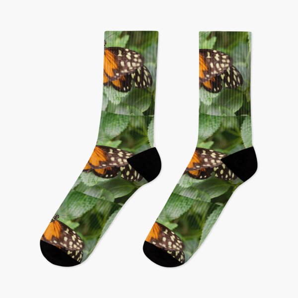 Item preview, Tiger Longwing designed and sold by Jouko Lehto Photography.