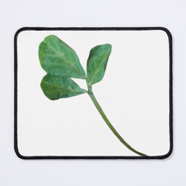 Item preview, Naam  designed and sold by StacksWeb.