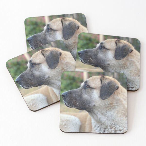 Item preview, Side Image of an Anatolian Shepherd on Alert designed and sold by fiddlersdream3.