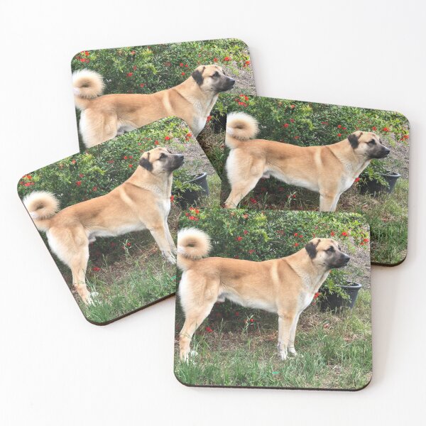 Item preview, Anatolian Shepherd Dog on Alert designed and sold by fiddlersdream3.