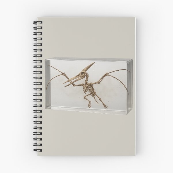 Item preview, Pteranodon - Dinosaur Fossil Display Art (Resin) designed and sold by Candie_Loudenfrau_Art.