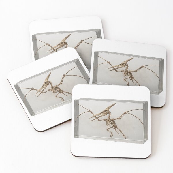 Item preview, Pteranodon - Dinosaur Fossil Display Art (Resin) designed and sold by Candie_Loudenfrau_Art.