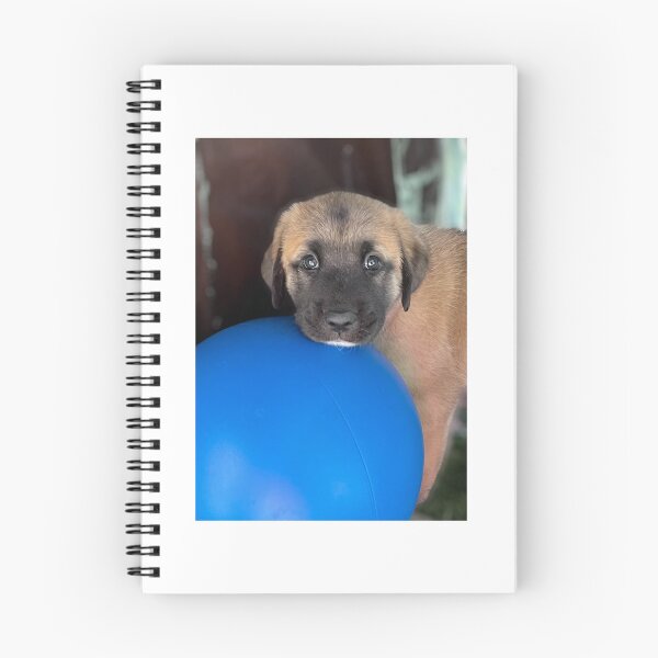 Item preview, Anatolian Shepherd Dog Puppy with a Ball designed and sold by fiddlersdream3.
