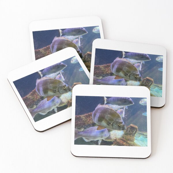 Item preview, Fishies  designed and sold by Ribster13.