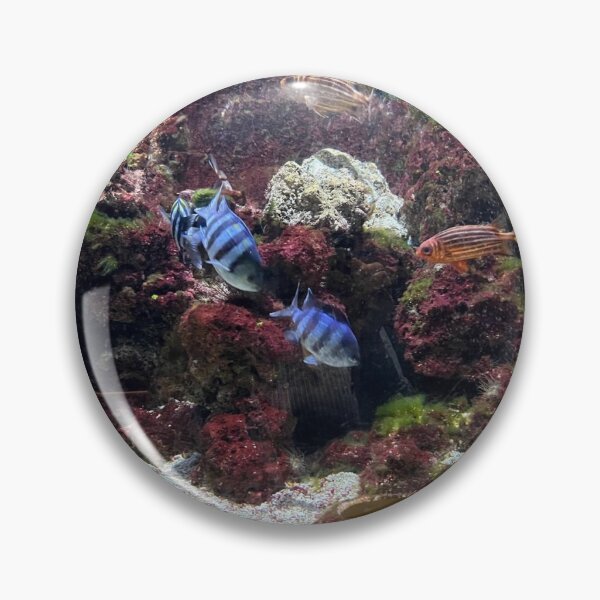 Item preview, Choral reef designed and sold by Ribster13.