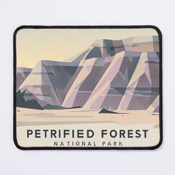 Item preview, Petrified Forest National Park designed and sold by Backyard Adventures.