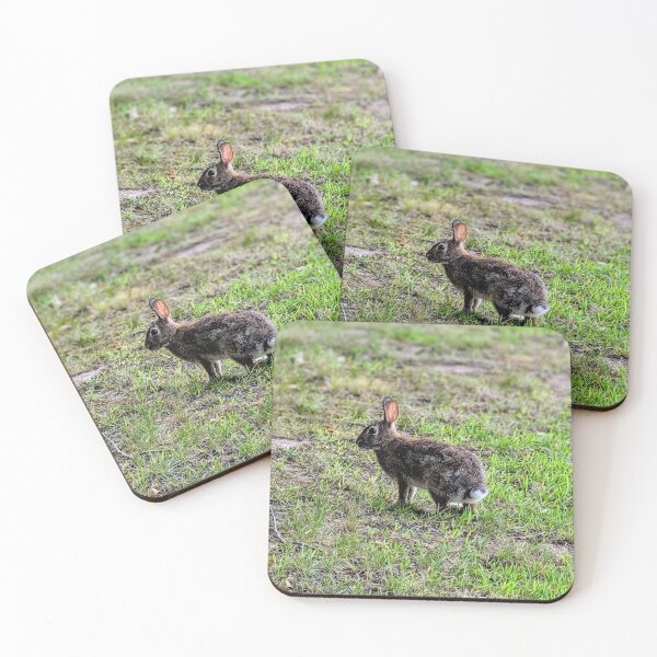Item preview, Cute Wild Bunny Standing in Grass designed and sold by ErtsDeals.
