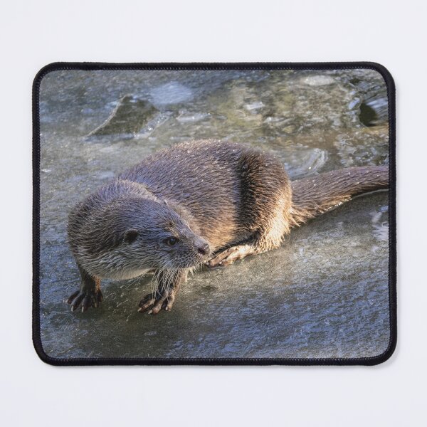 Item preview, Otter in frozen lands designed and sold by VollImKopf.