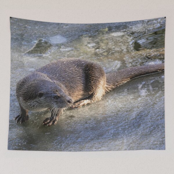 Item preview, Otter in frozen lands designed and sold by VollImKopf.