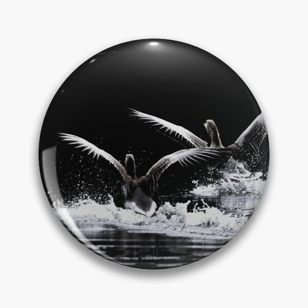 Artikelvorschau, Zwei Gänse auf dem Teich – Eleganz und Zweisamkeit in Schwarz-Weiß / Swiss Artwork Photography entworfen und verkauft von Raphael Wolf.