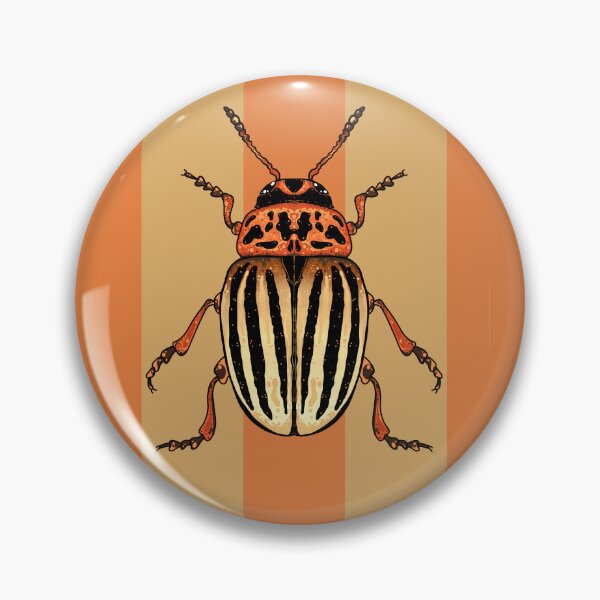 Item preview, Potato Beetle  designed and sold by Higher Light.