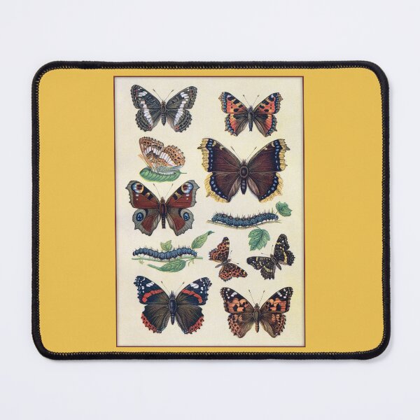 Item preview, Lepidopterology Butterfly Paintings designed and sold by Tridentulus.
