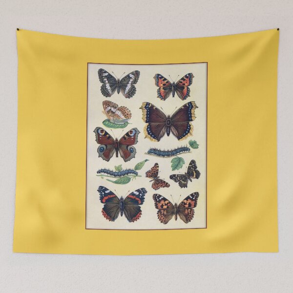 Item preview, Lepidopterology Butterfly Paintings designed and sold by Tridentulus.
