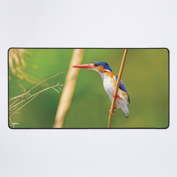 Item preview, Malachite Kingfisher designed and sold by Kay Brewer.