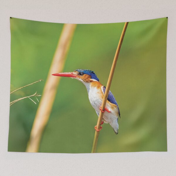 Item preview, Malachite Kingfisher designed and sold by Kay Brewer.