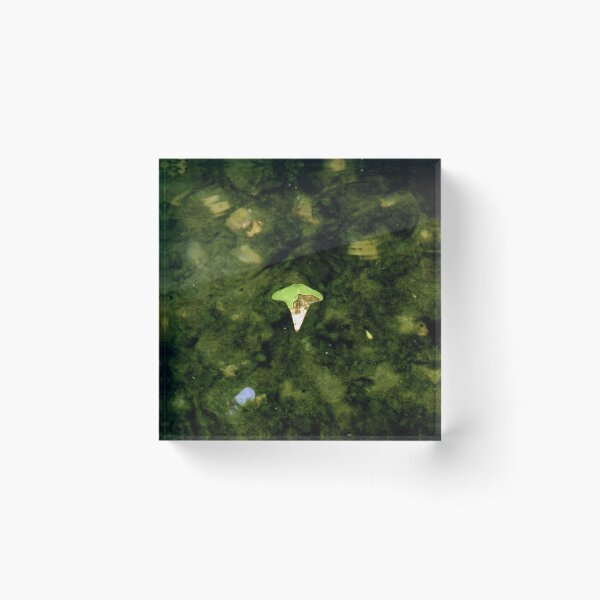 Item preview, Leaf in Water designed and sold by writefitben.