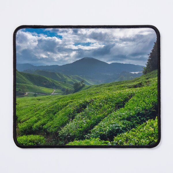Item preview, Cameron Highlands Tea Plantation designed and sold by troianifabrizio.