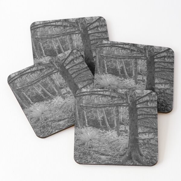 Item preview, untitled, cumberland trails, 2022 designed and sold by jacksonphotografix-landscapes.