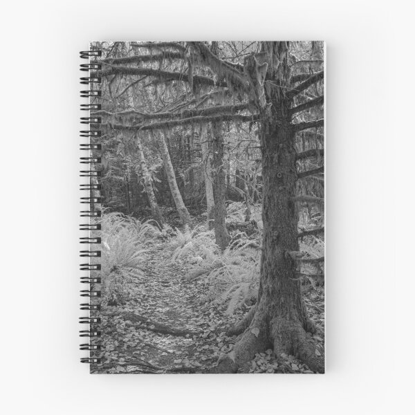 Item preview, untitled, cumberland trails, 2022 designed and sold by jacksonphotografix-landscapes.