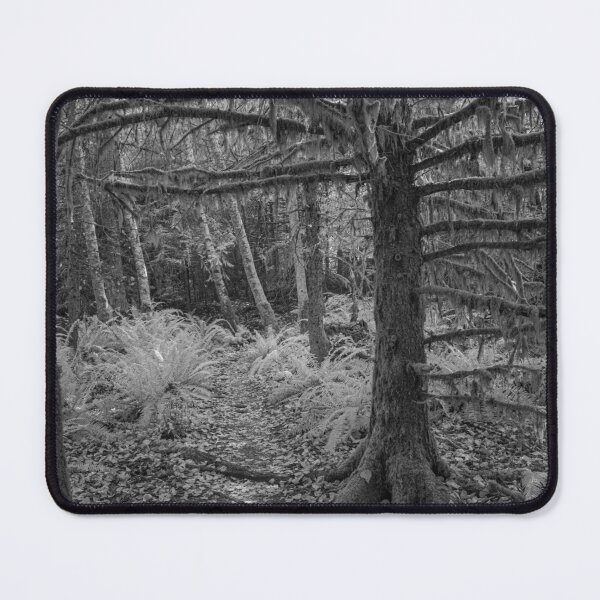 Item preview, untitled, cumberland trails, 2022 designed and sold by jacksonphotografix-landscapes.