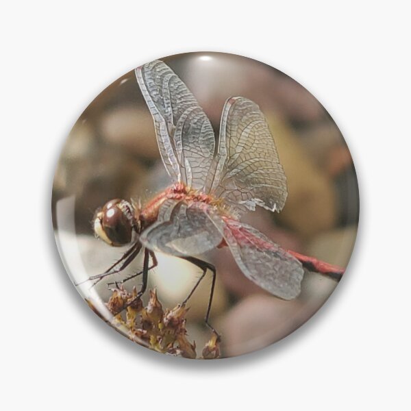 Item preview, Dragon fly that was injured in battle. designed and sold by ZawadiNest ,.