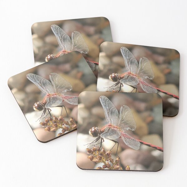 Item preview, Dragon fly that was injured in battle. designed and sold by ZawadiNest ,.