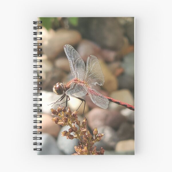 Item preview, Dragon fly that was injured in battle. designed and sold by ZawadiNest ,.