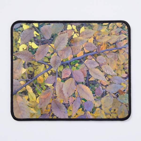 Item preview, Pattern of colorful autumn foliage illuminated by the setting sun designed and sold by Enerjetal.