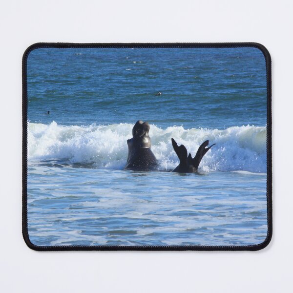 Item preview, Elephant Seal designed and sold by Samuel Leavitt.