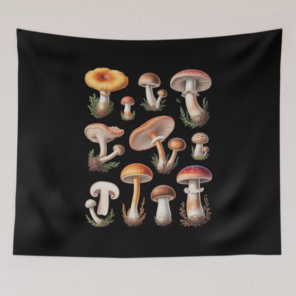 Aperçu de l'œuvre Classification des champignons : types et mycologie pour Shroom Hunter créée et vendue par ryukaizox1.