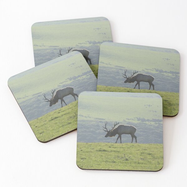Item preview, Bull Elk in grass designed and sold by Samuel Leavitt.